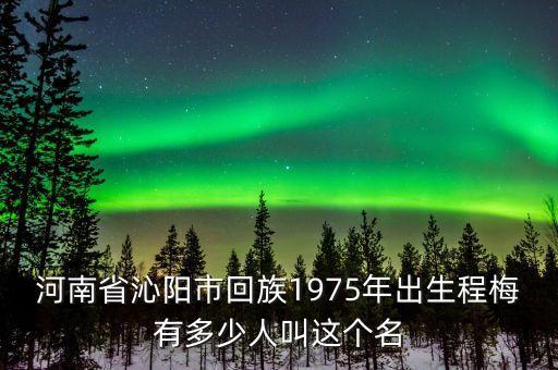 河南省沁阳市回族1975年出生程梅有多少人叫这个名