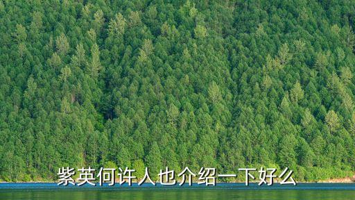 紫英，紫英的身世是什么