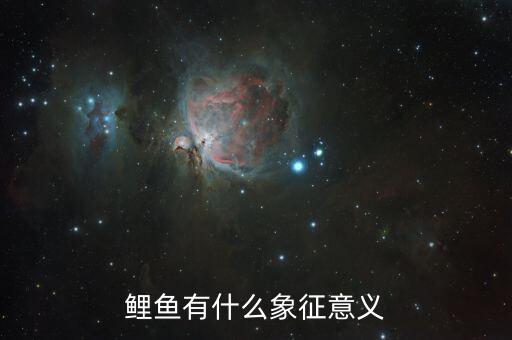 鲤鱼寓意，鲤鱼有什么象征意义