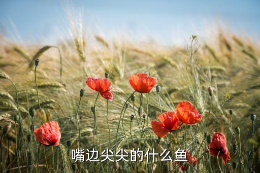 嘴边尖尖的什么鱼
