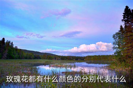 玫瑰花都有什么颜色的分别代表什么