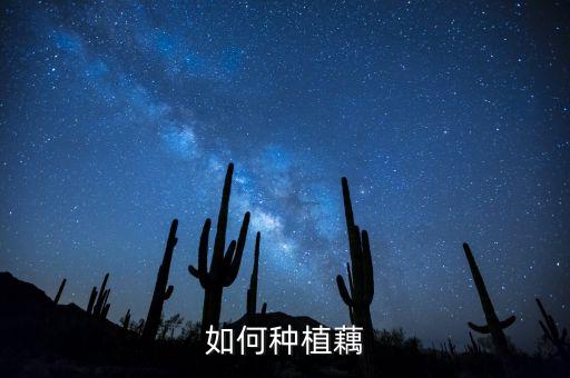 藕怎么种植方法，莲藕的种植方法南方