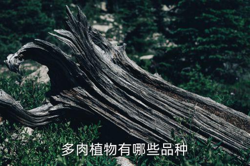 多肉植物图片大全，多肉植物有哪些