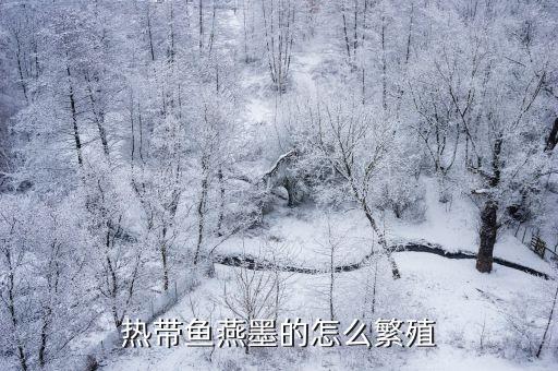 燕鱼繁殖正确方法，燕鱼的繁殖方法