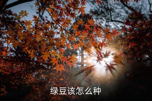 种绿豆的方法，绿豆怎么种植