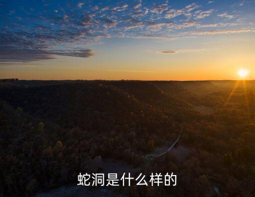 蛇洞，蛇洞是怎样建成的
