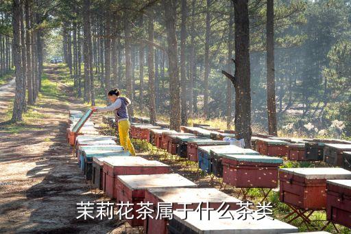 茉莉花茶属于什么茶类