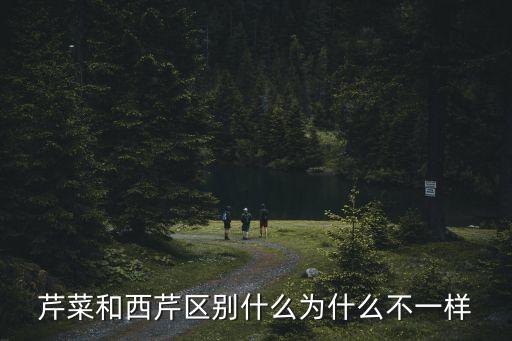 西芹和芹菜的区别，芹菜和西芹区别什么为什么不一样