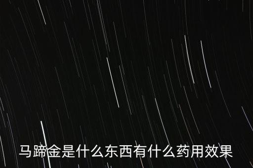 马蹄金是什么东西有什么药用效果