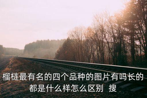 榴梿最有名的四个品种的图片有吗长的都是什么样怎么区别  搜