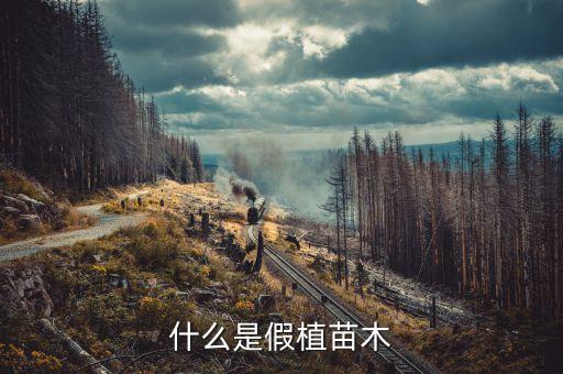 什么是假植苗木