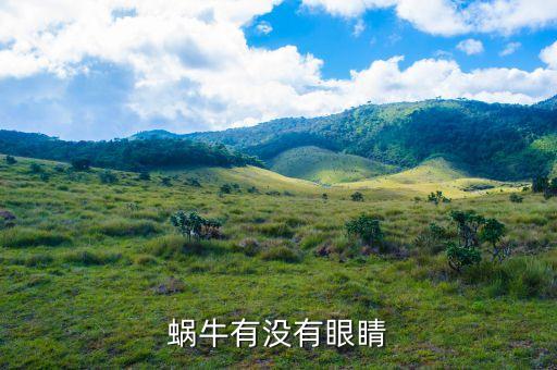 蜗牛有没有眼睛