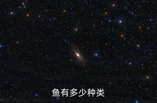 鱼有多少种，世界上有多少种鱼类
