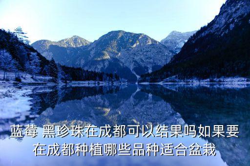 蓝莓 黑珍珠在成都可以结果吗如果要在成都种植哪些品种适合盆栽