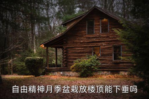 自由女神月季，有月季花叫女神的品种吗