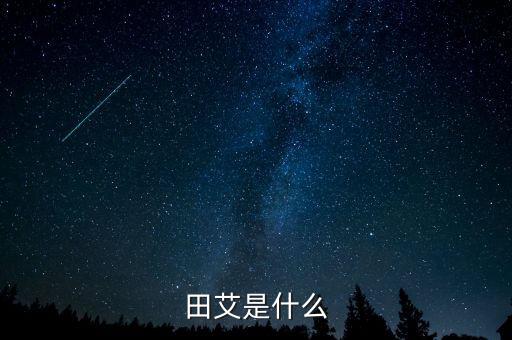 田艾是什么