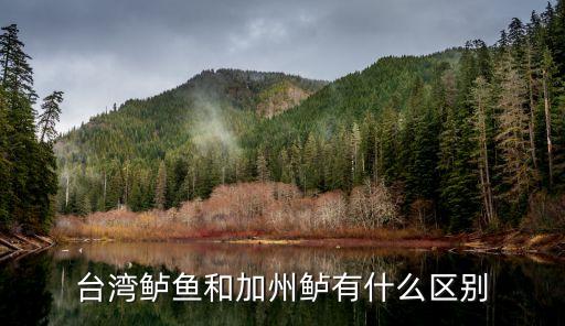 台湾鲈鱼和加州鲈有什么区别
