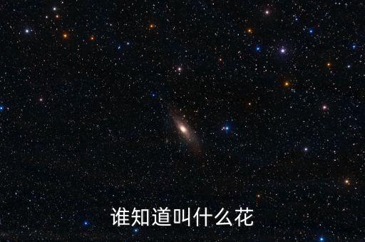 谁知道叫什么花