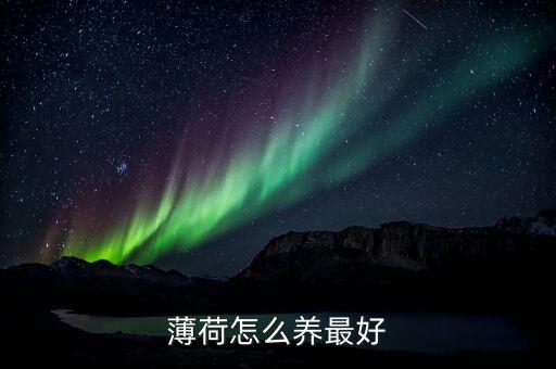怎么养薄荷，薄荷怎么养最好