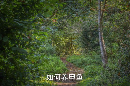 如何养甲鱼