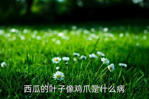 西瓜的叶子像鸡爪是什么病