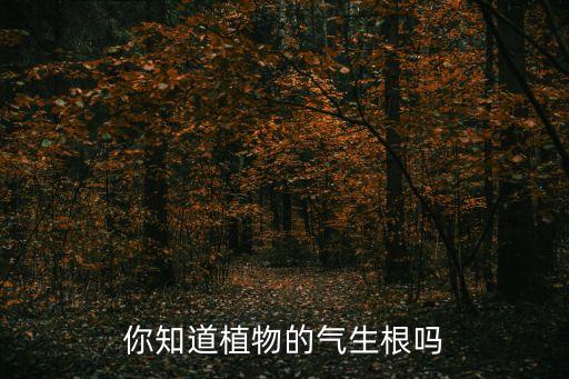 气生根，你知道植物的气生根吗