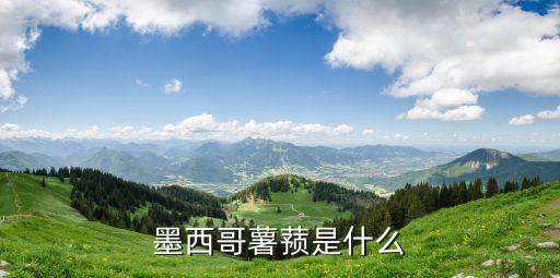 墨西哥薯蓣是什么