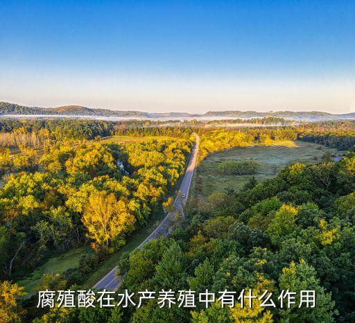 腐殖酸在水产养殖中有什么作用