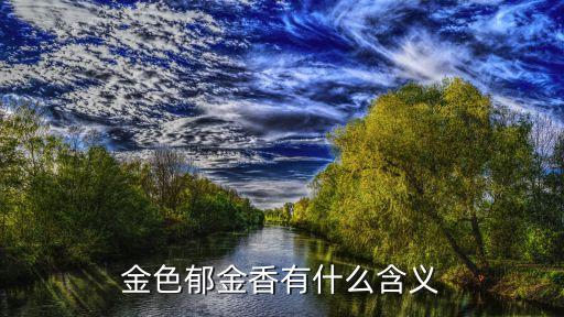 金色郁金香有什么含义