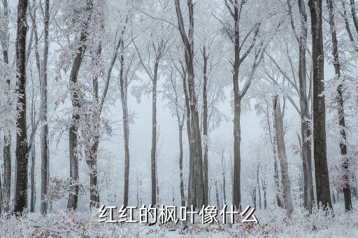 枫树像什么，红红的枫叶像什么