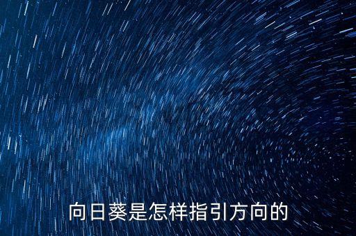 向日葵是怎样指引方向的