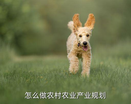 怎么做农村农业产业规划