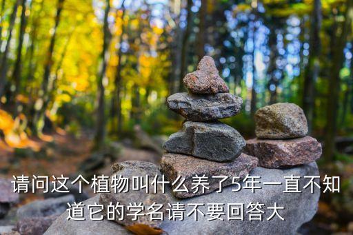 大佛肚竹，佛肚竹一般长多高