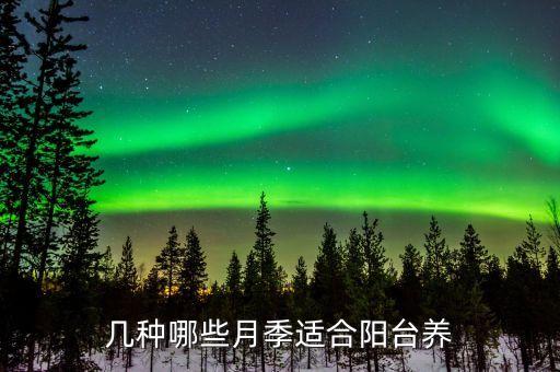苹果花月季，月季花红苹果是爬藤的嘛