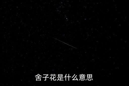 舍子花，舍子花是什么意思