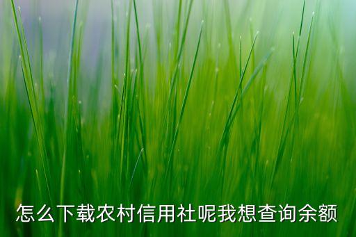 怎么下载农村信用社呢我想查询余额