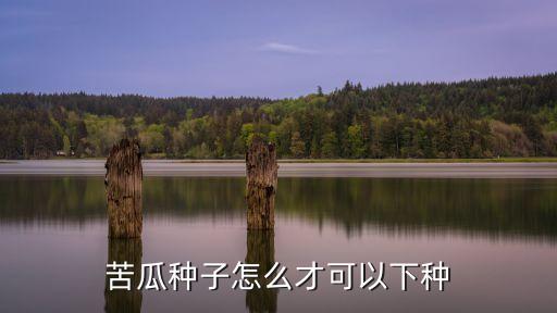 苦瓜苗图片，苦瓜的幼苗是什么样子的