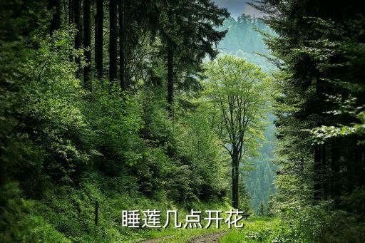 睡莲几点开花