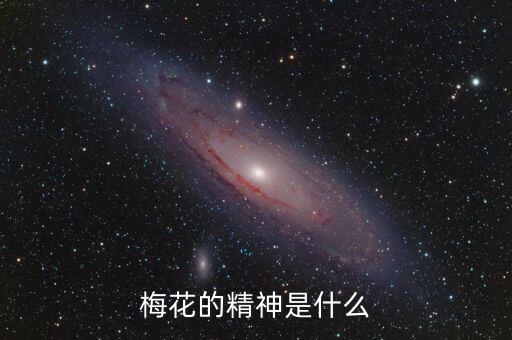 梅花的精神是什么