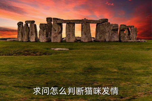 公猫发情的症状，如何知道公猫发情了