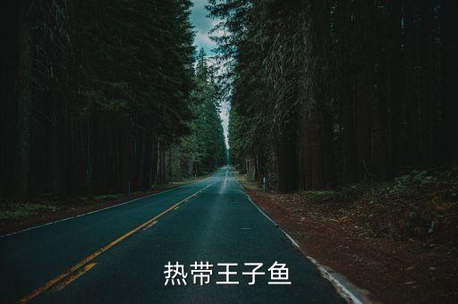 热带王子鱼