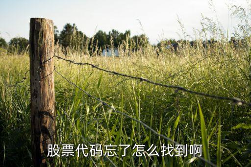 股票代码忘了怎么找到啊