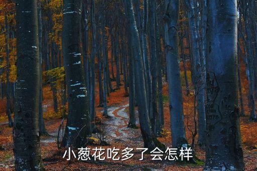 小葱花吃多了会怎样