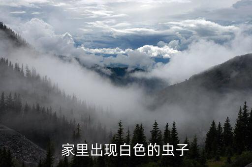 家里出现白色的虫子