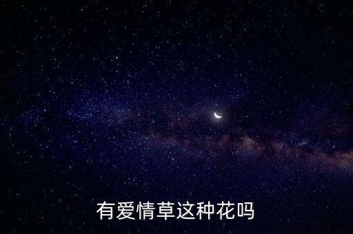 有爱情草这种花吗