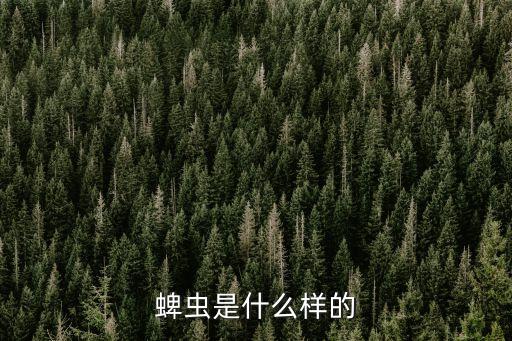 蜱虫是什么样的