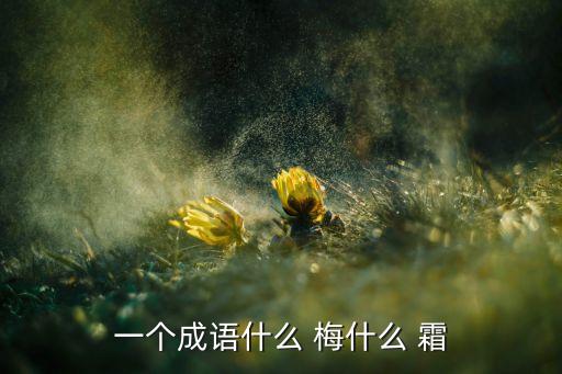 一个成语什么 梅什么 霜