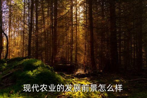 新型农业怎么样发展，现代农业的发展前景怎么样