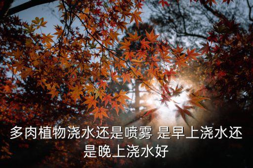 多肉植物浇水还是喷雾 是早上浇水还是晚上浇水好