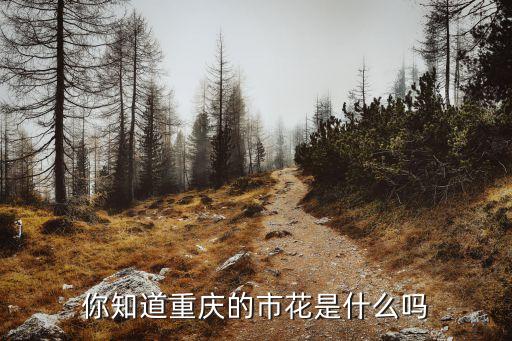 重庆市市花，你知道重庆的市花吗